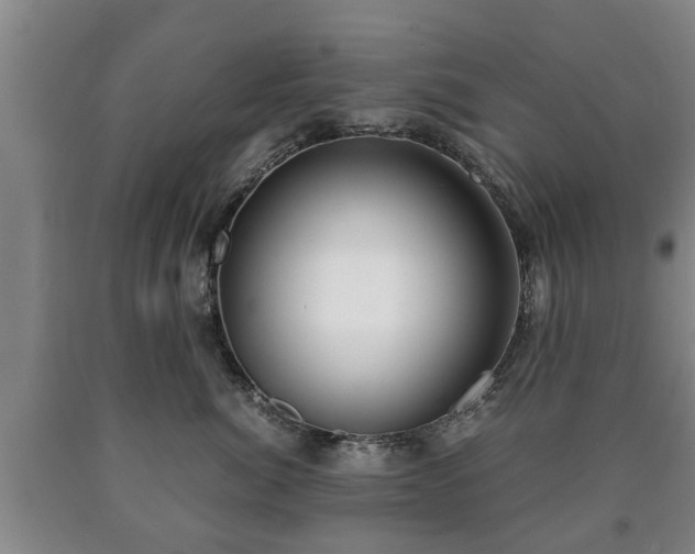 X0000090700764200707271108