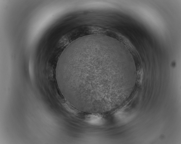 X0000090700765200707271108