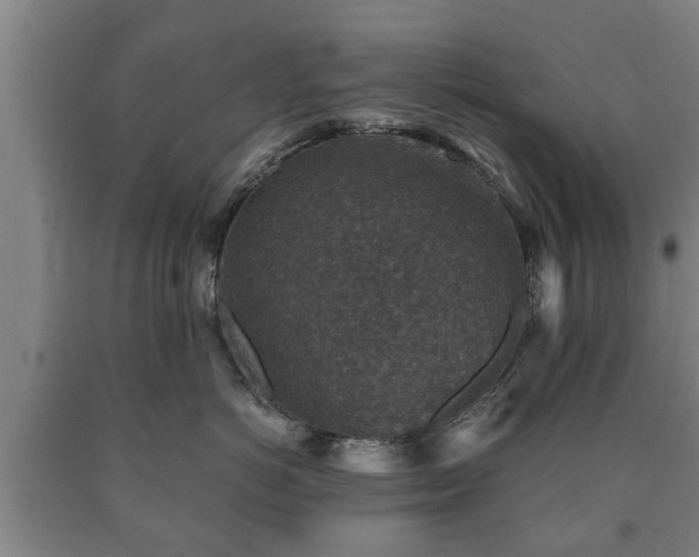 X0000090700766200707271109