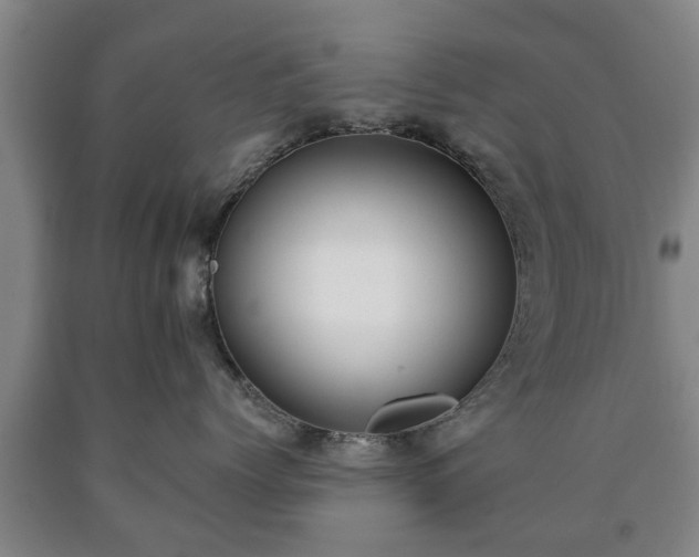 X0000090700768200707271109