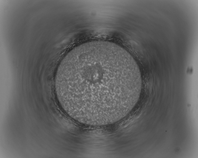 X0000090700769200707271108