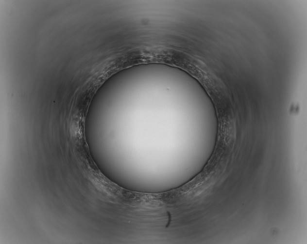 X0000090700770200707271108