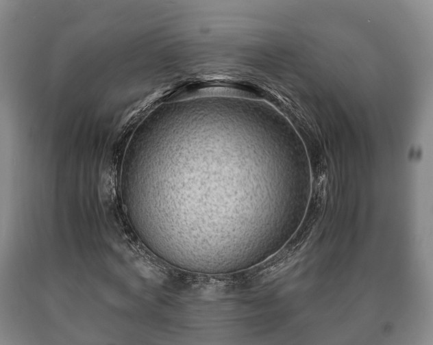 X0000090700772200707271108