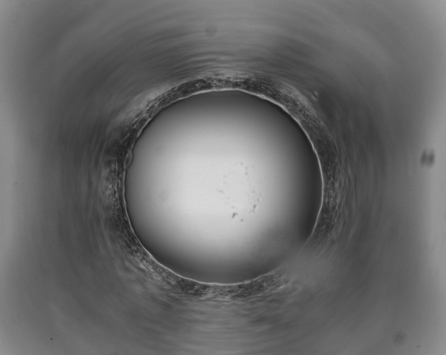 X0000090700773200707271108