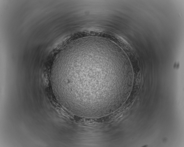 X0000090700774200707271108