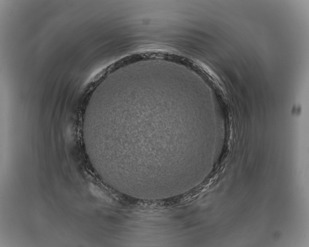 X0000090700775200707271108