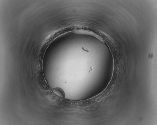 X0000090700776200707271108