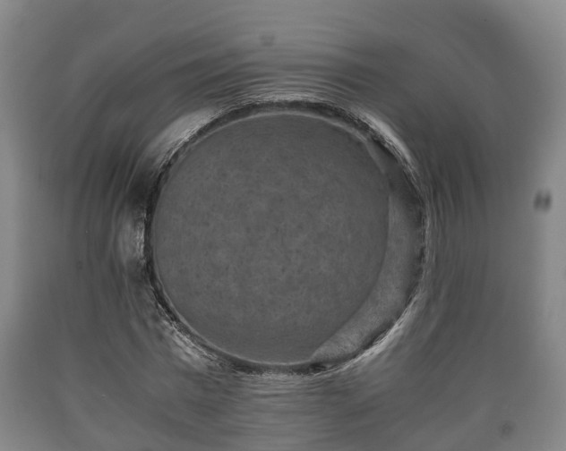 X0000090700777200707271108