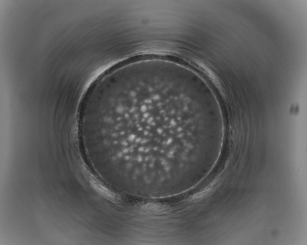 X0000090700779200707271108