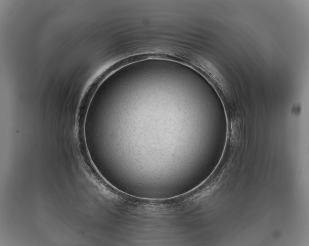 X0000090700780200707271108