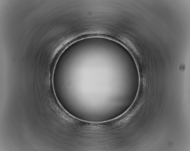 X0000090700781200707271108