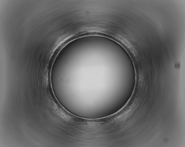 X0000090700782200707271108