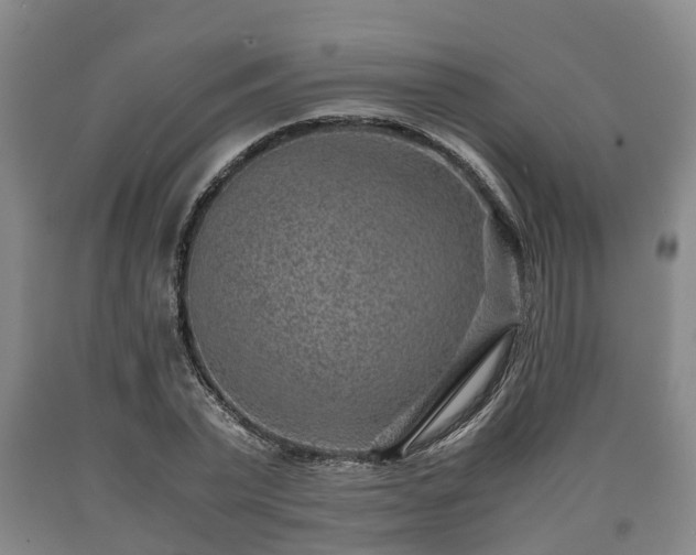 X0000090700783200707271108