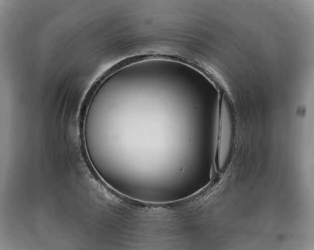 X0000090700784200707271108