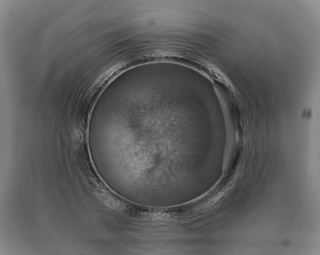 X0000090700785200707271108