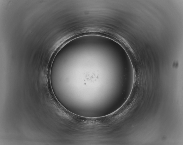 X0000090700786200707271108