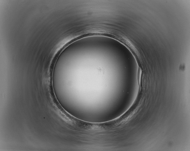 X0000090700787200707271108