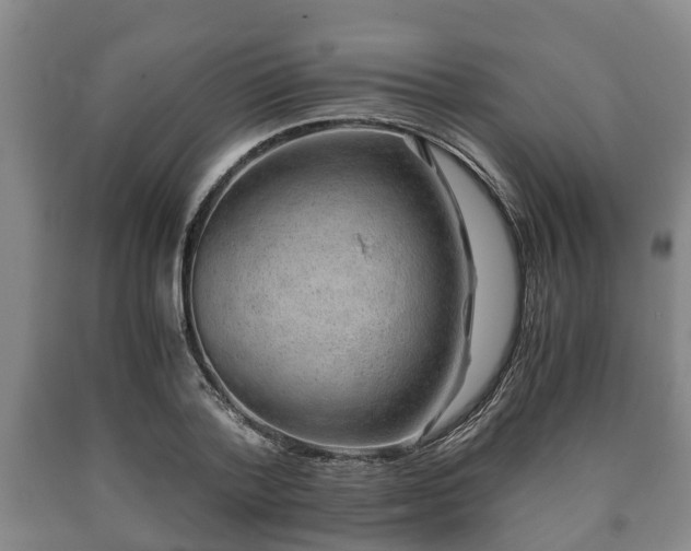 X0000090700788200707271108