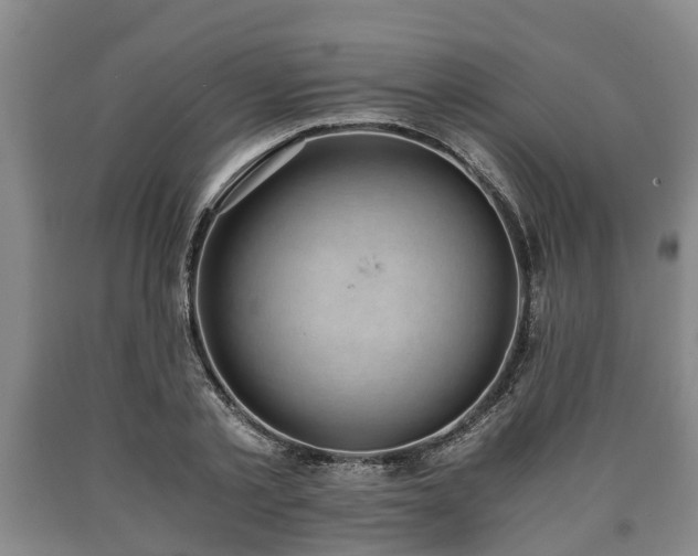 X0000090700789200707271108