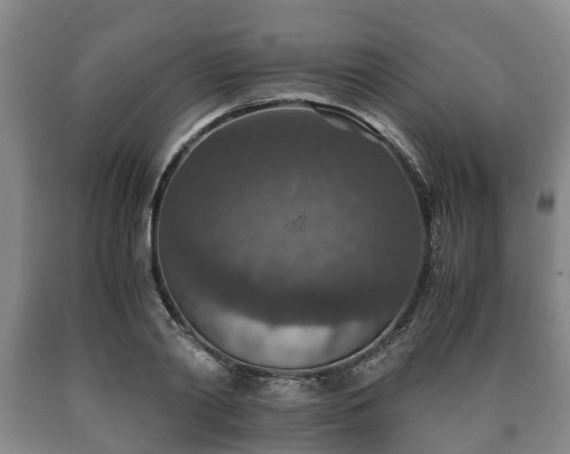 X0000090700790200707271108