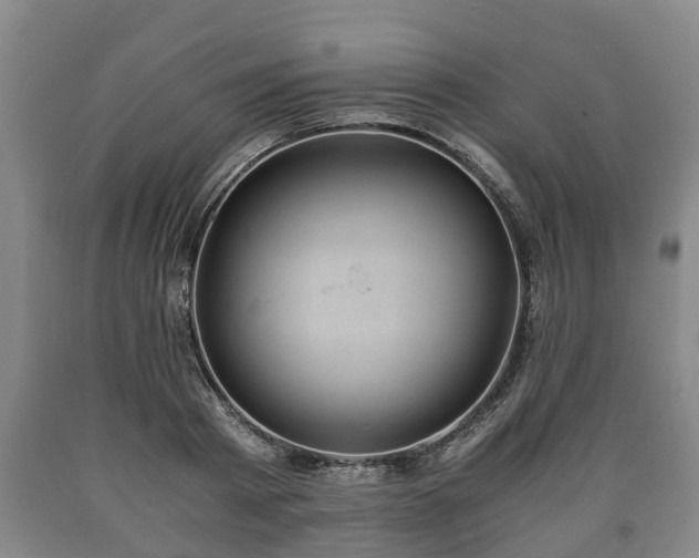 X0000090700793200707271108