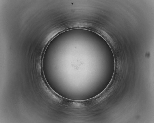 X0000090700794200707271108