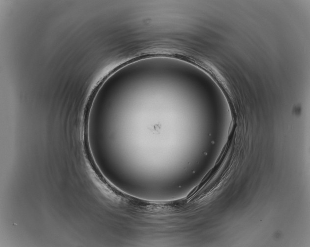 X0000090700795200707271107