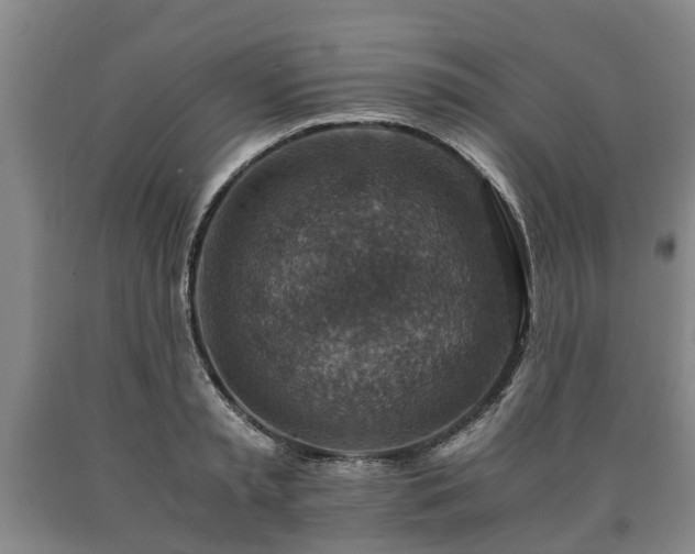 X0000090700797200707271107