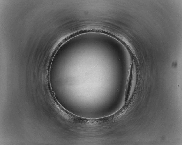 X0000090700799200707271107