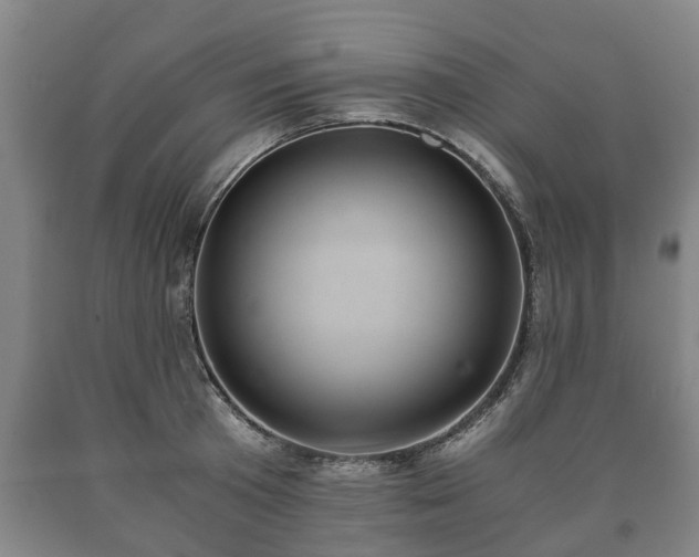 X0000090700801200707271107