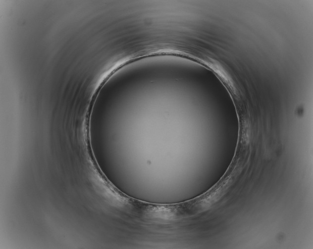 X0000090700806200707271107