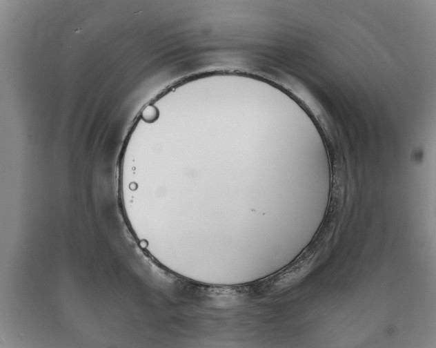 X0000090700807200707271107