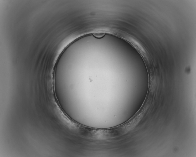 X0000090700808200707271107