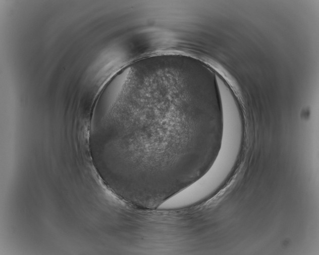 X0000090700809200707271107