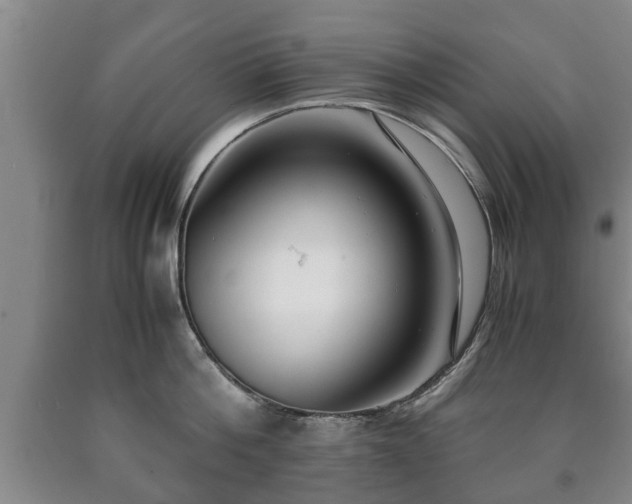 X0000090700812200707271107