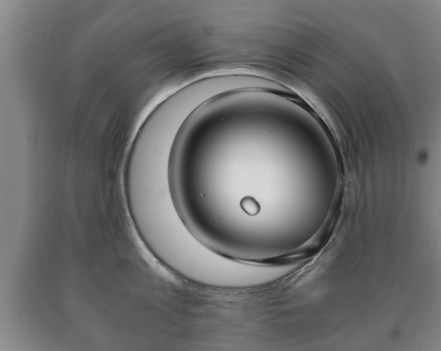 X0000090700813200707271107