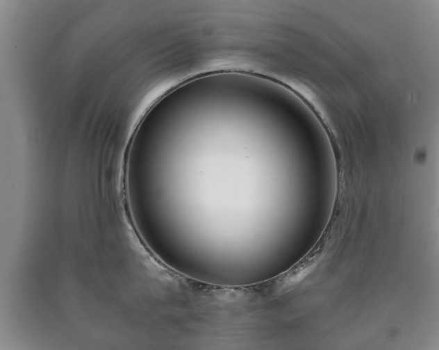 X0000090700815200707271107