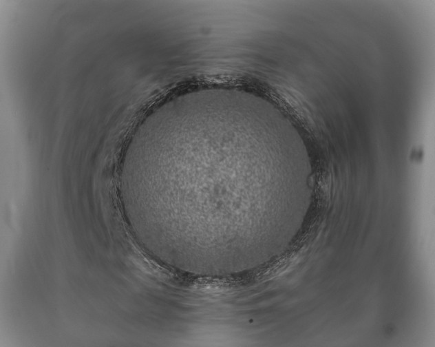 X0000090700817200707271107