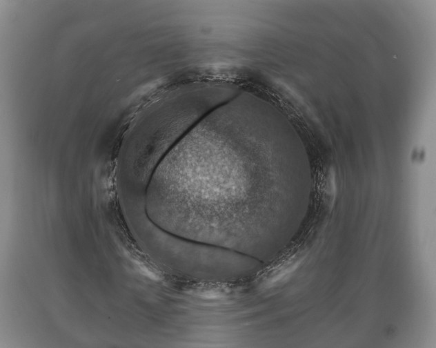 X0000090700818200707271107