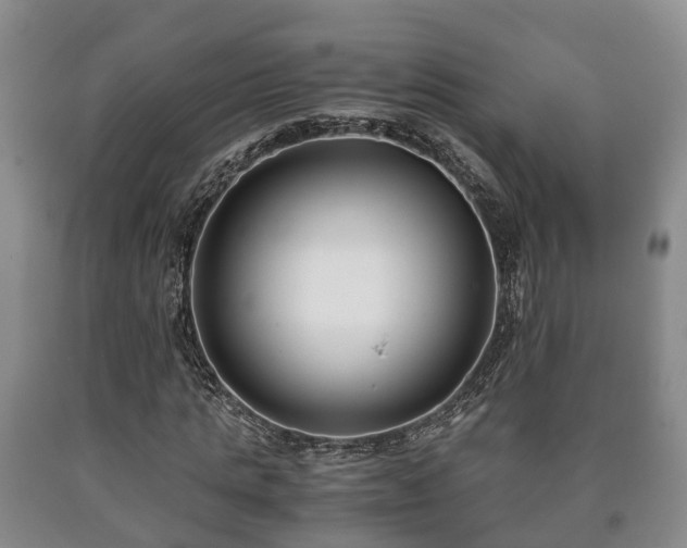 X0000090700821200707271107