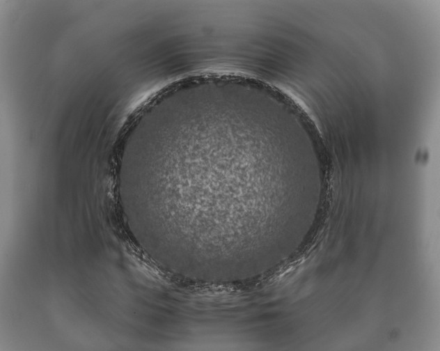 X0000090700823200707271107