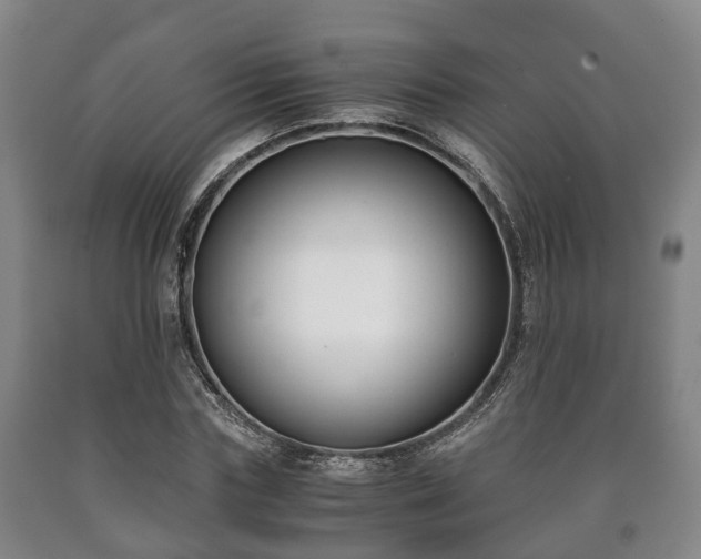 X0000090700827200707271107