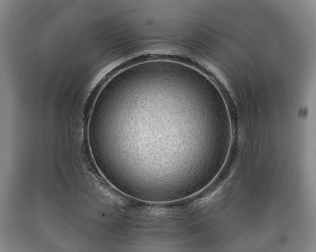 X0000090700829200707271107