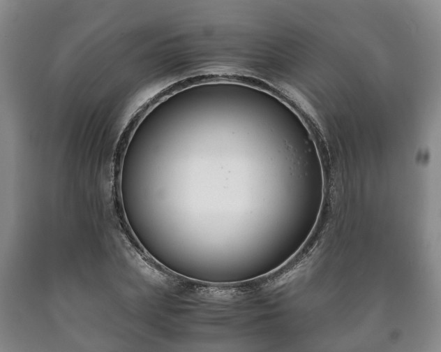 X0000090700831200707271107