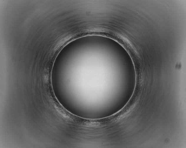 X0000090700833200707271107