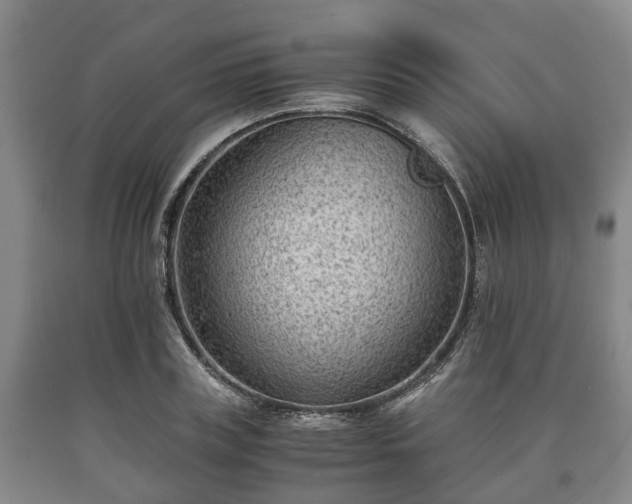 X0000090700835200707271107