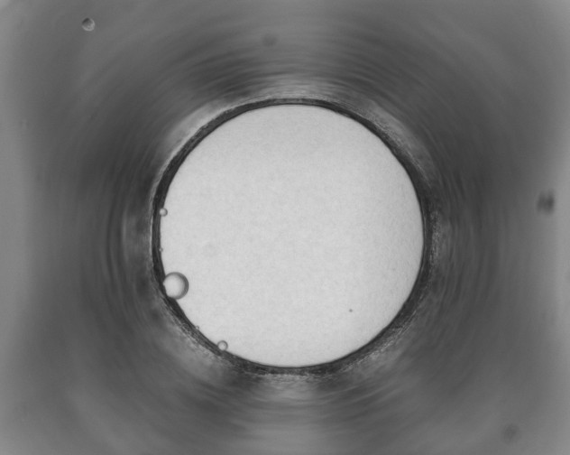 X0000090700836200707271107