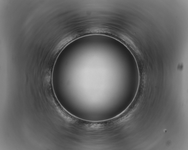 X0000090700841200707271107