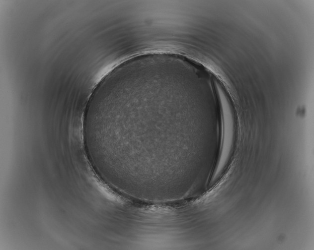 X0000090700842200707271107