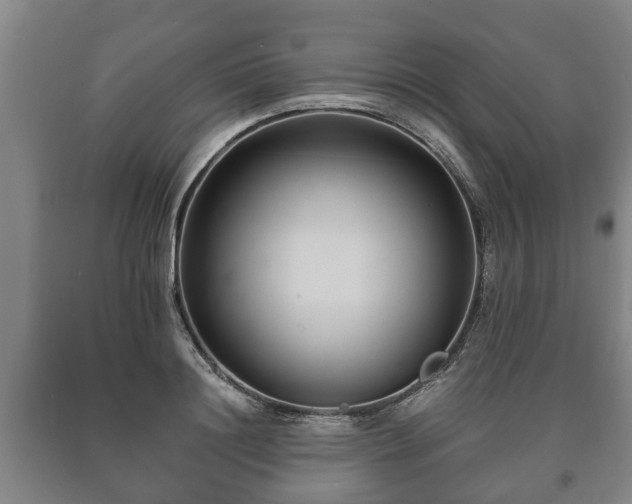 X0000090700844200707271107